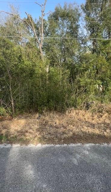 TBD SE 91 Ct., Summerfield, FL 34491