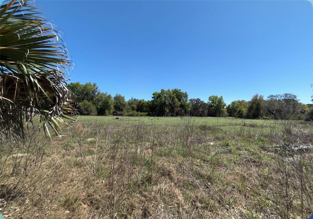 9844 Poe St., Leesburg, FL 34788