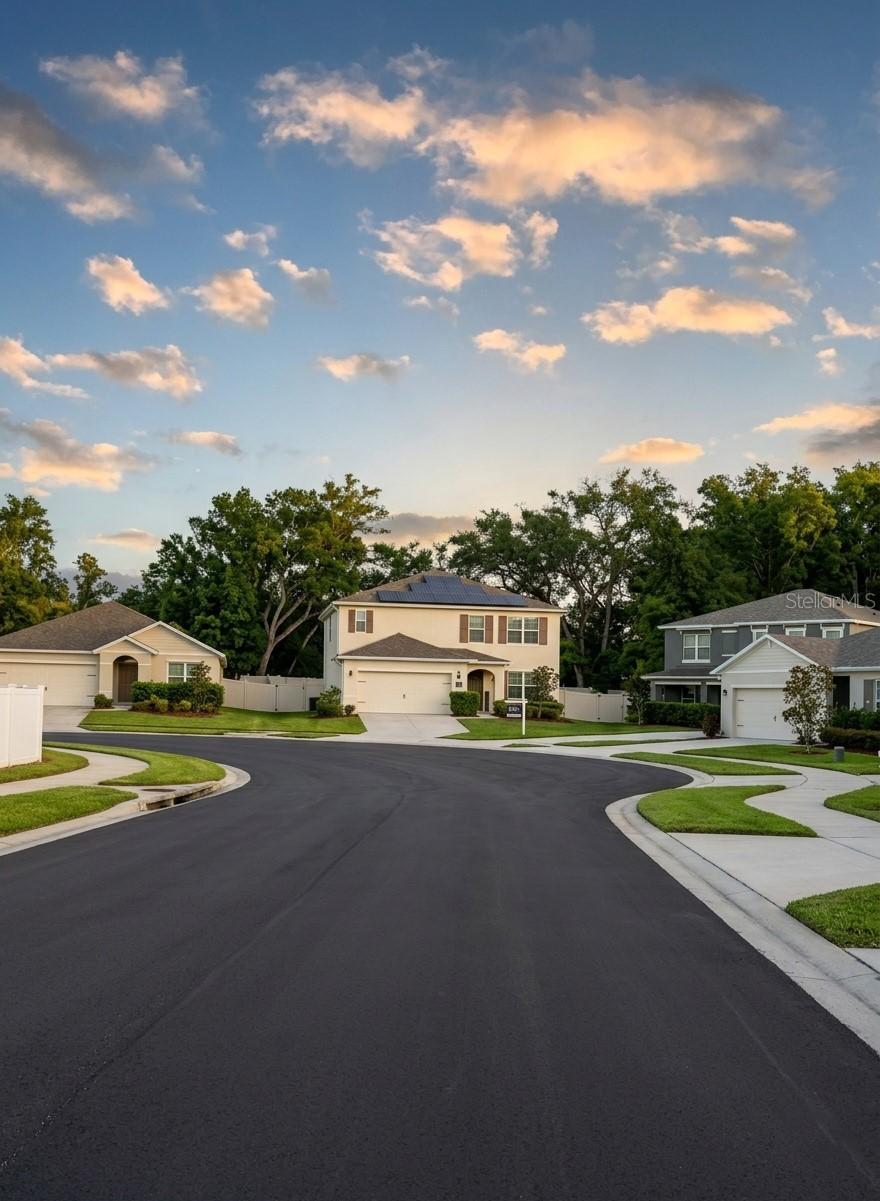 3609 Crimson Clover Dr., Mount Dora, FL 32757