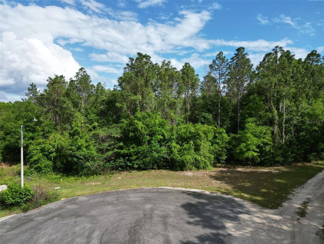 0000 SE 119 St., Belleview, FL 34420