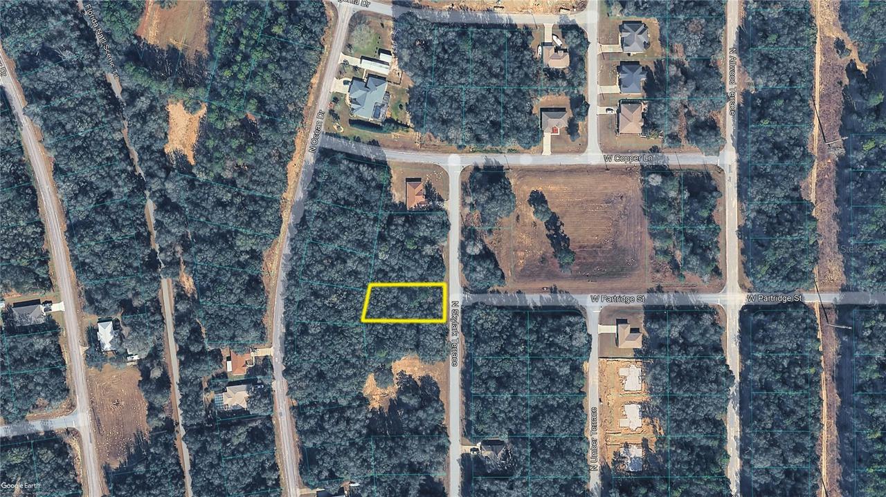 10632 N Skylark Ter., Citrus Springs, FL 34434