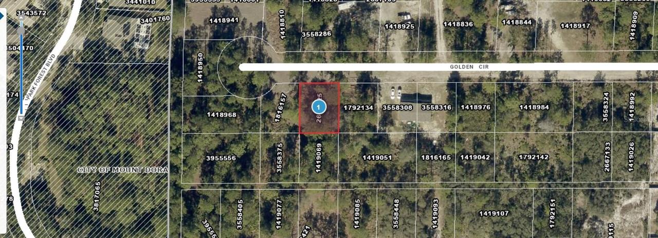 Lot 228 Park Forest Blvd, Mount Dora, FL 32757