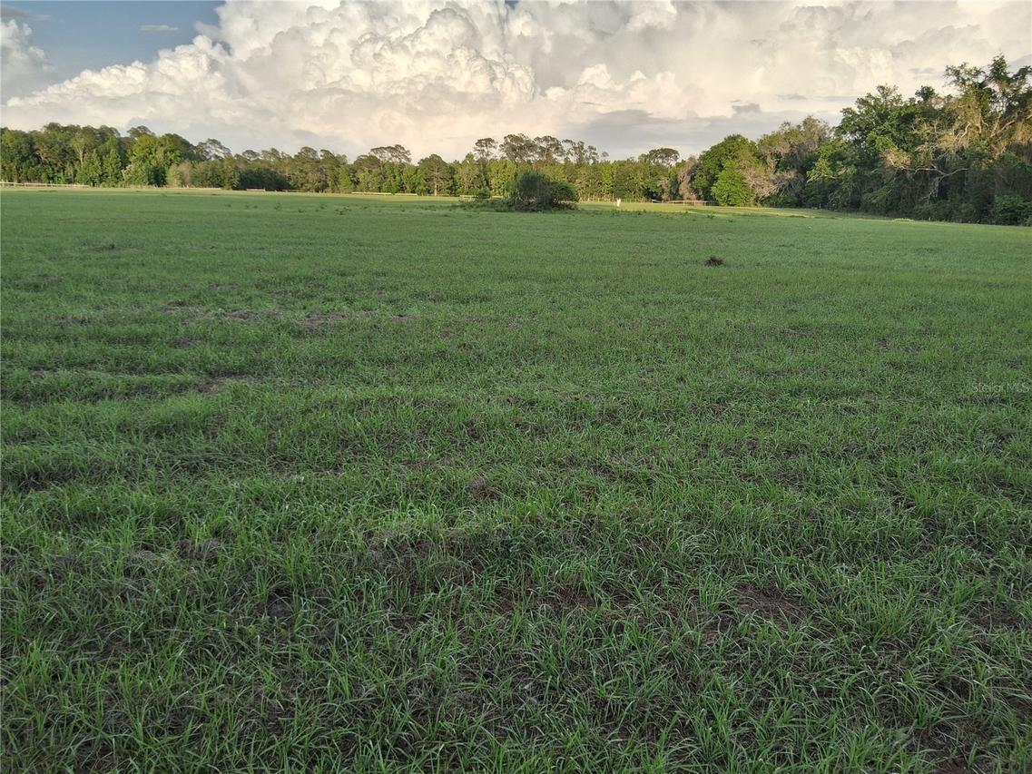 1613 NE 12th Ave., Sumterville, FL 33585