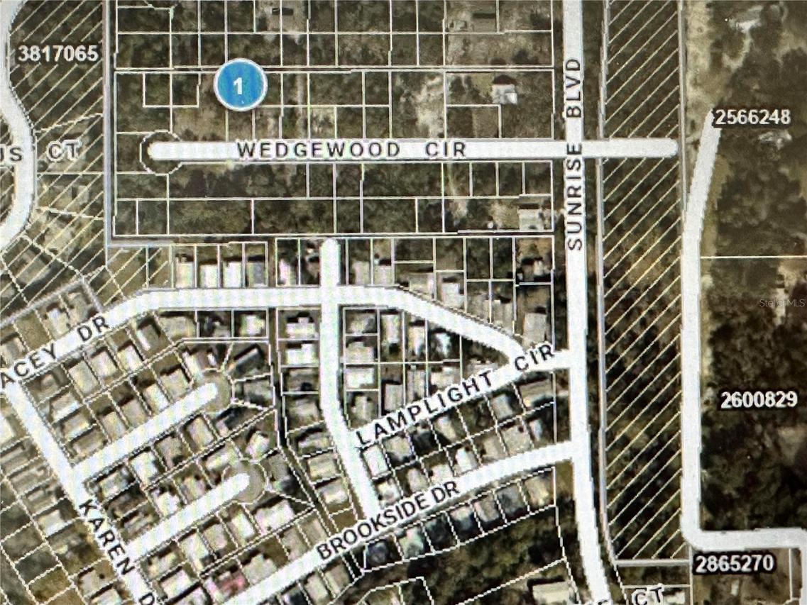 Lot 261 Lot 261 Brookside Cir Cir., Mount Dora, FL 32757