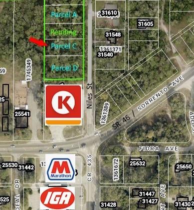 31577 Niles St., Mount Plymouth, FL 32776