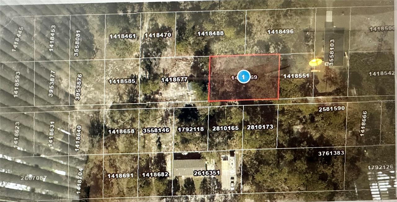 Lots 121 & 122 Park Forest Blvd, Mount Dora, FL 32757