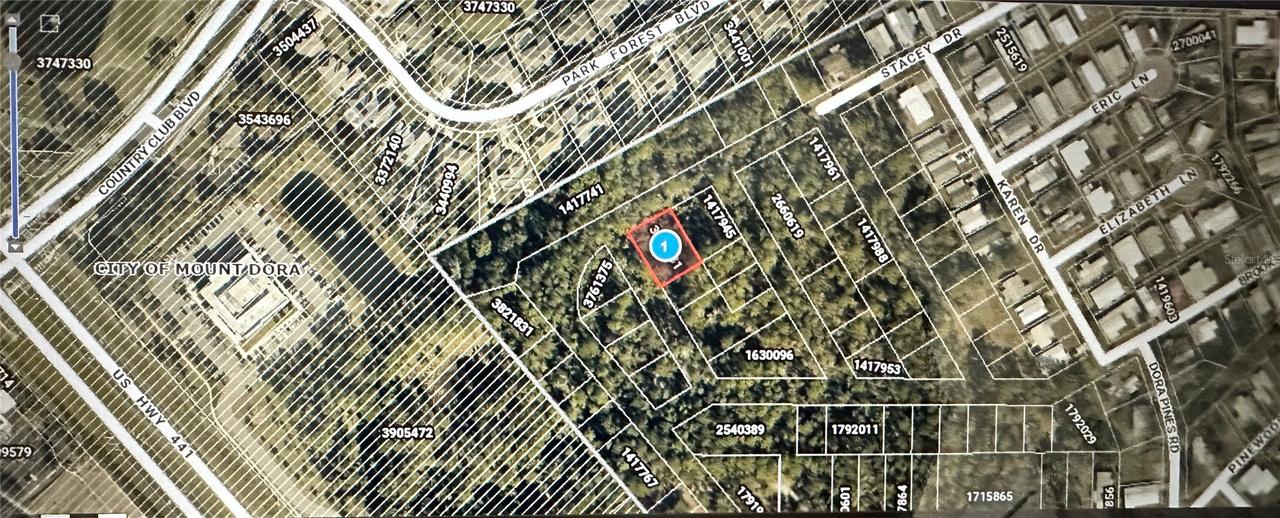 Lots 77 & 78 Park Forest Boulevard, Mount Dora, FL 32757