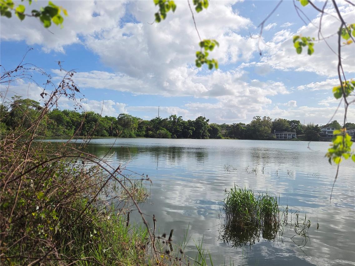 1408 Westmoreland Ave., Eustis, FL 32726