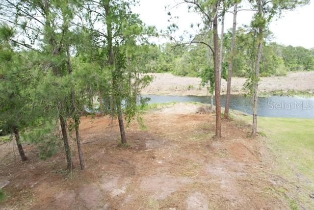 Locust Run Dr., Ocala, FL 34472
