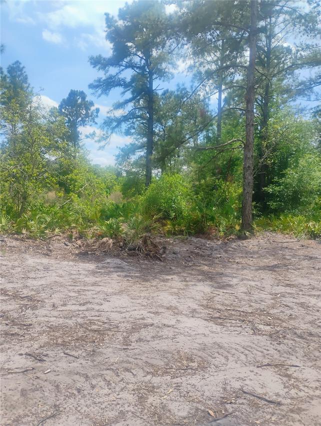 Park Forest Blvd., Mount Dora, FL 32757