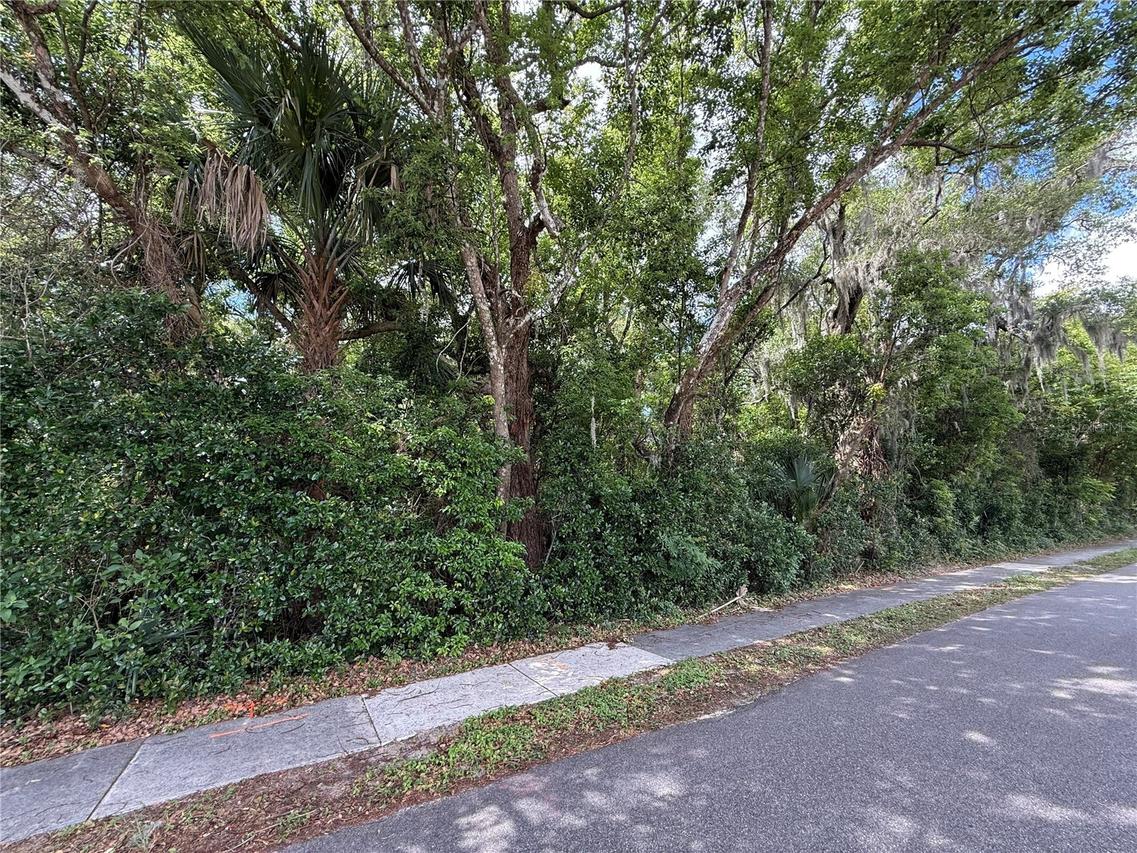 TBD King Ave., Zellwood, FL 32798