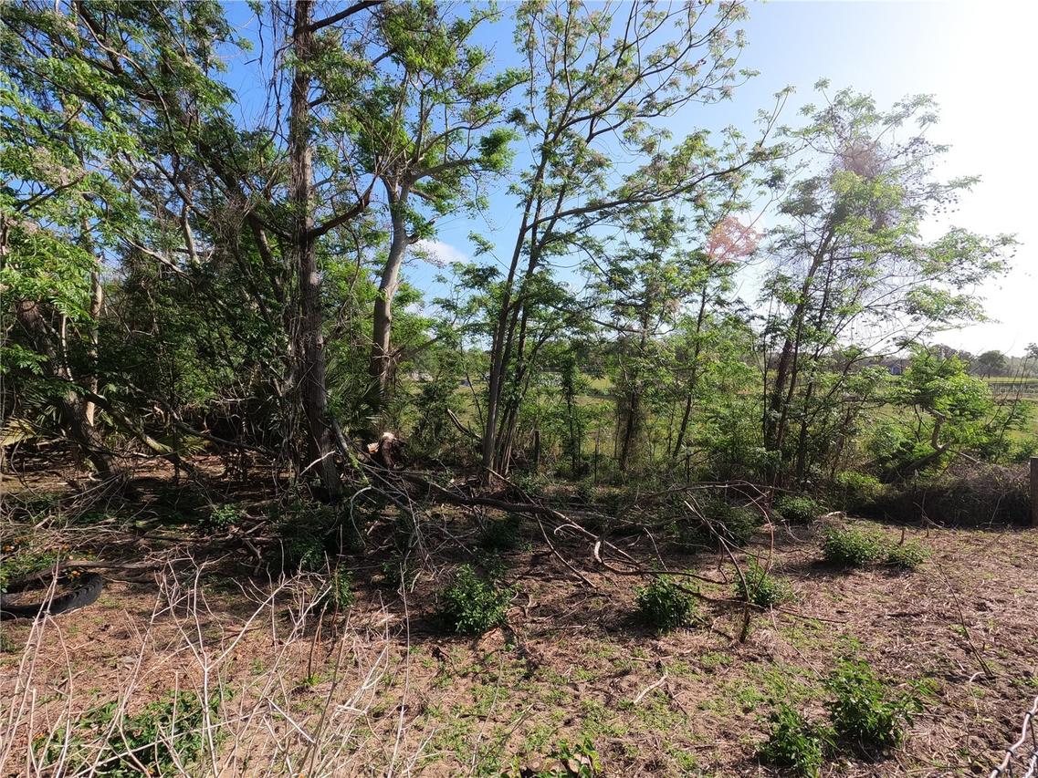 Earth Star Ln., Groveland, FL 34736