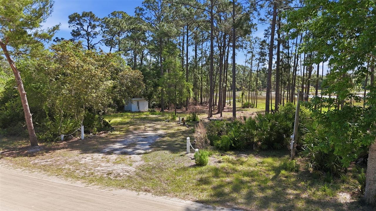 TBD Holly Branch Rd., Eustis, FL 32736