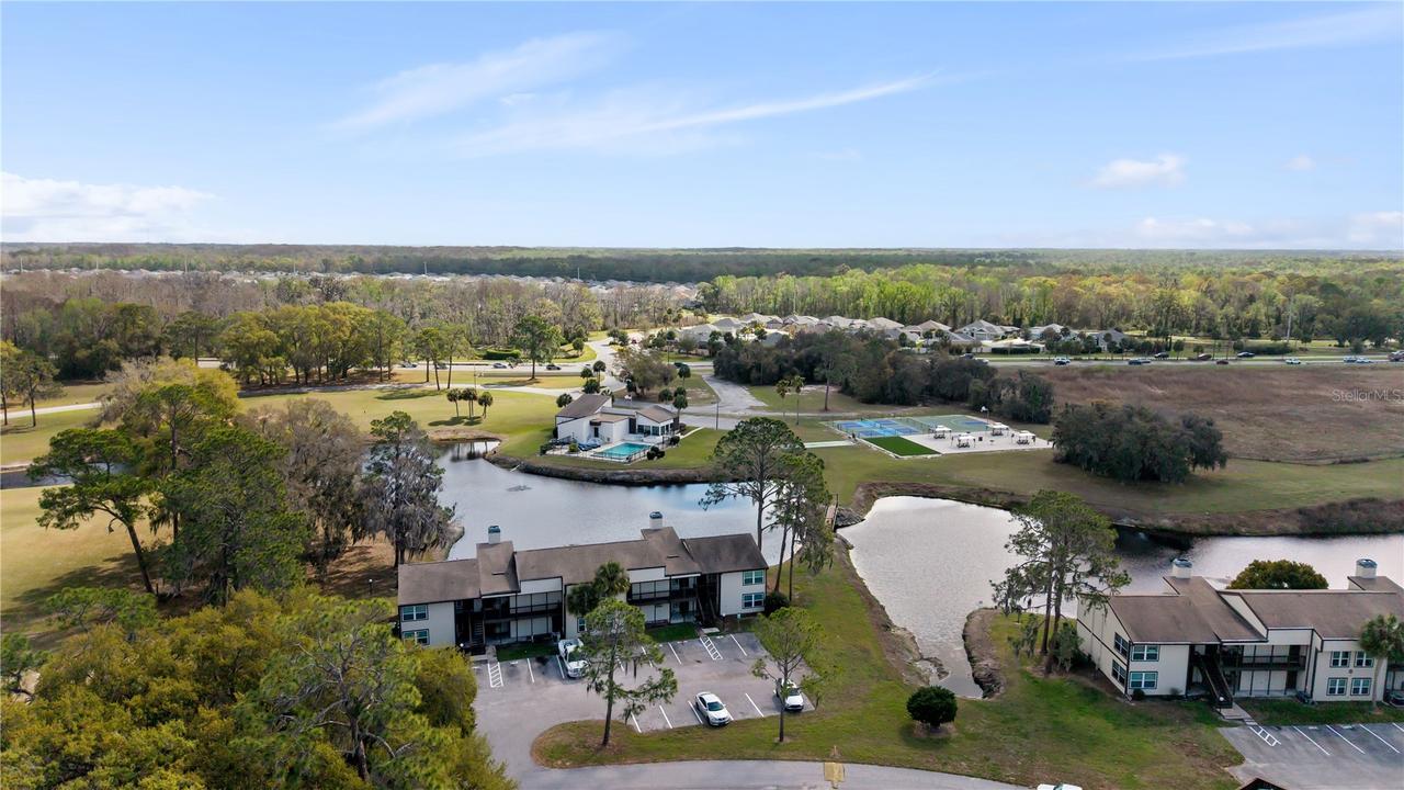 17203 Sandalwood Dr., Wildwood, FL 34785