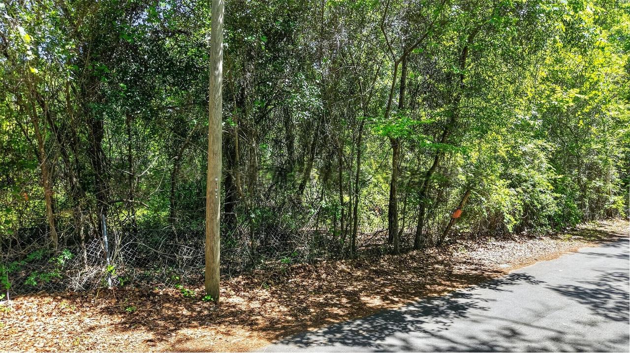 TBD Se 2nd Ave., Gainesville, FL 32641