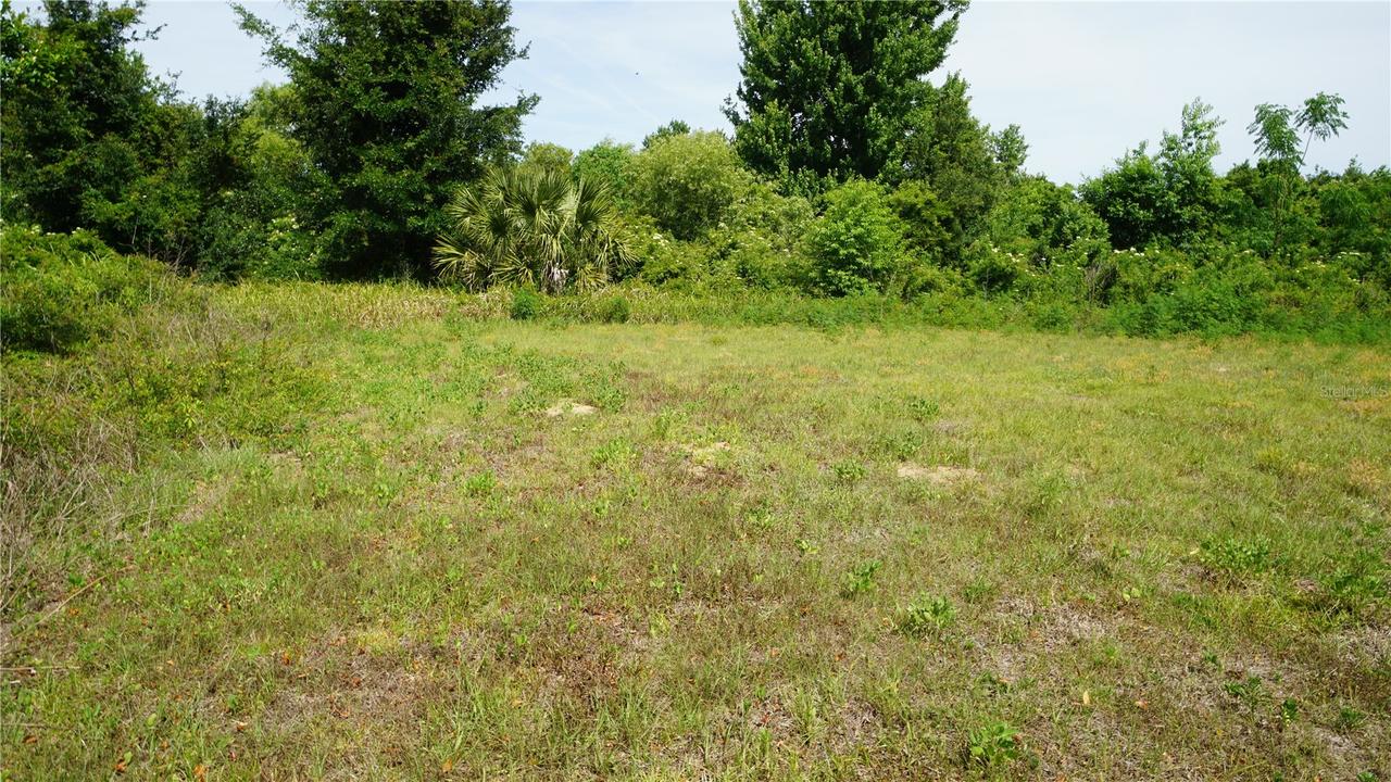 Marilyn Ave., Howey In The Hills, FL 34737