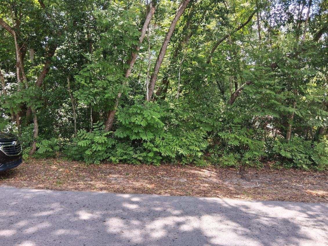 NW 2nd St., Webster, FL 33597