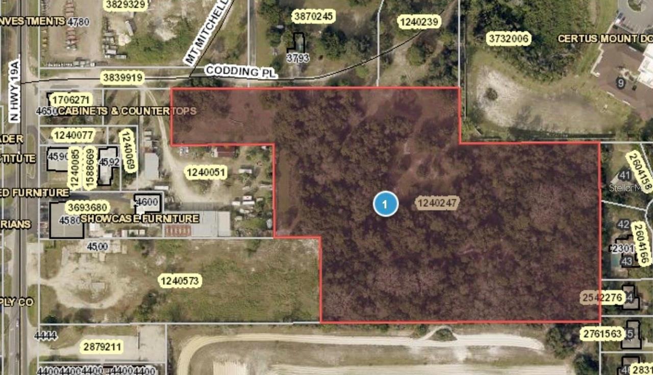 Codding Pl., Mount Dora, FL 32757