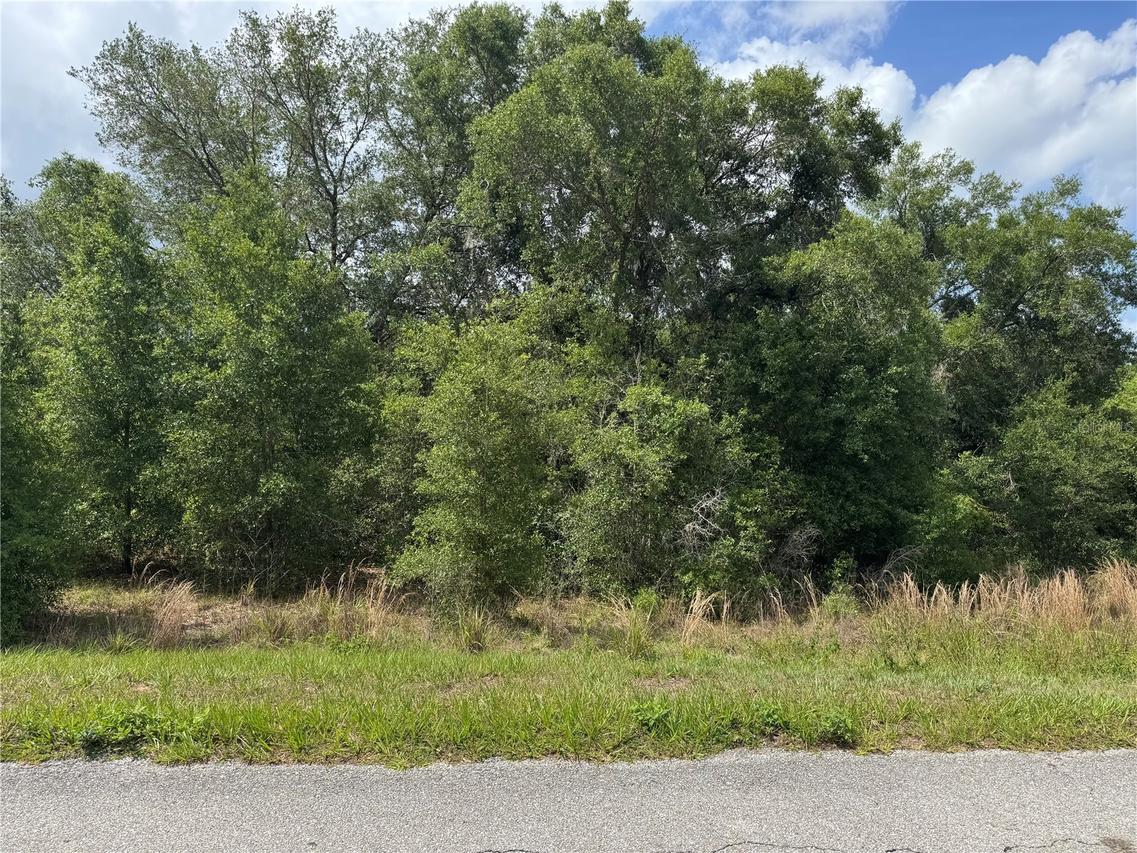 18308 Keene Rd., Altoona, FL 32702