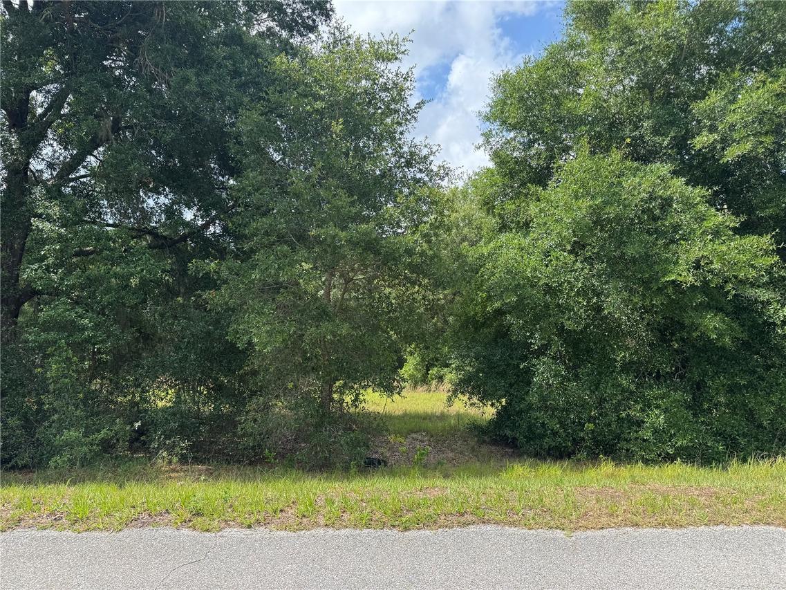 18308 Keene Rd., Altoona, FL 32702