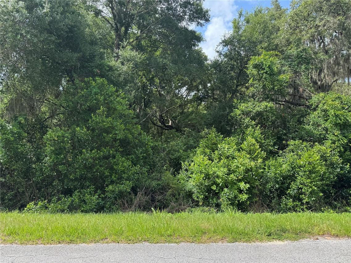 TBD Keene Rd., Altoona, FL 32702