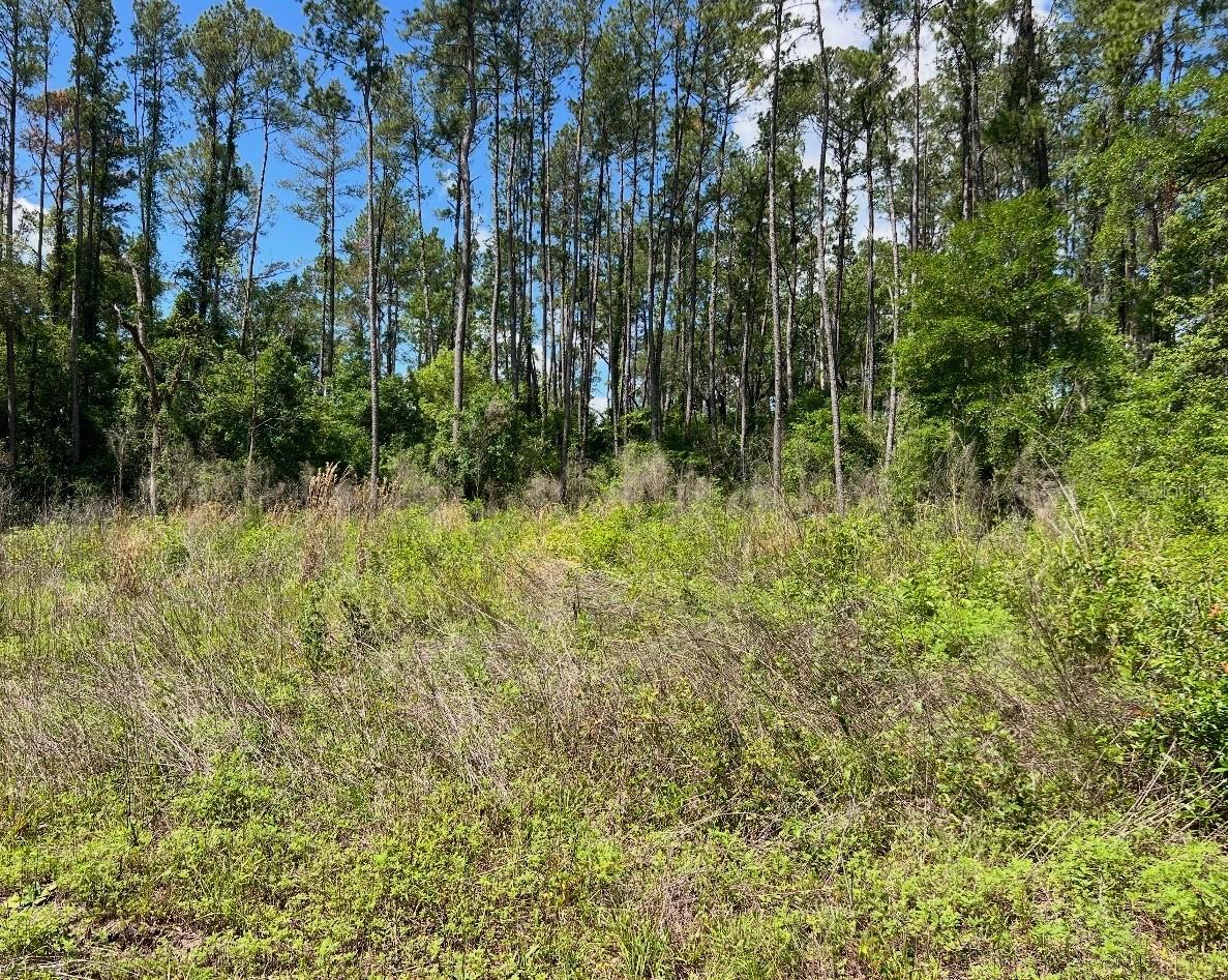 9976 N Athenia Dr., Citrus Springs, FL 34434