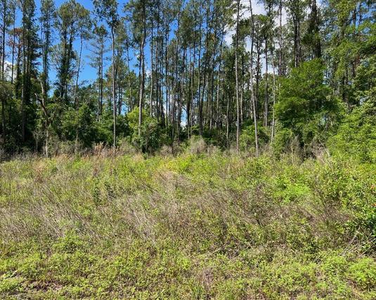 Homes Just Sold in Citrus Springs: June 16th to June 22nd