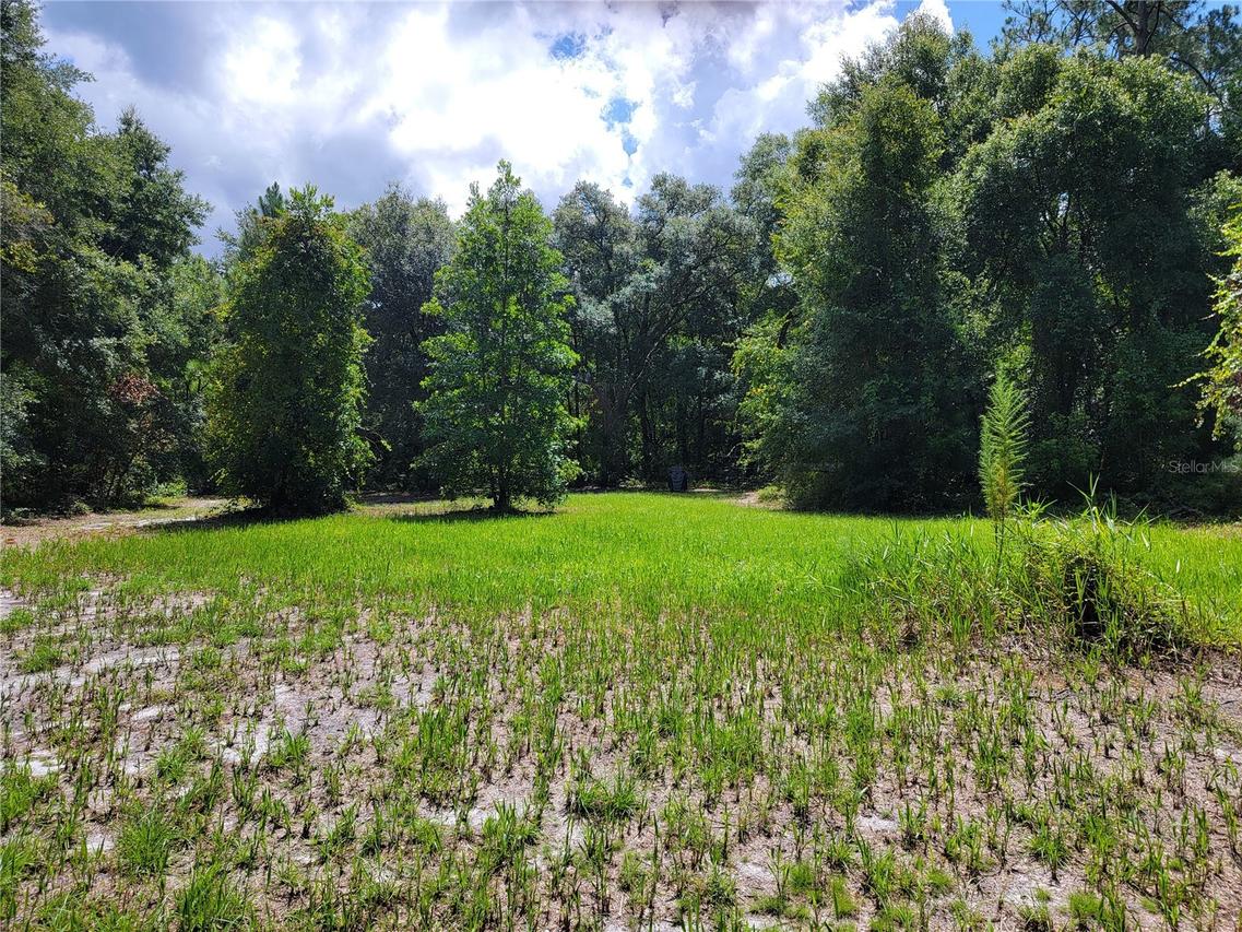 SE 464c Hwy., Ocklawaha, FL 32179