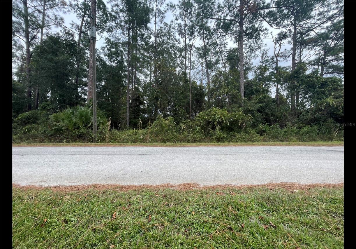 Cr 173e, Wildwood, FL 34785