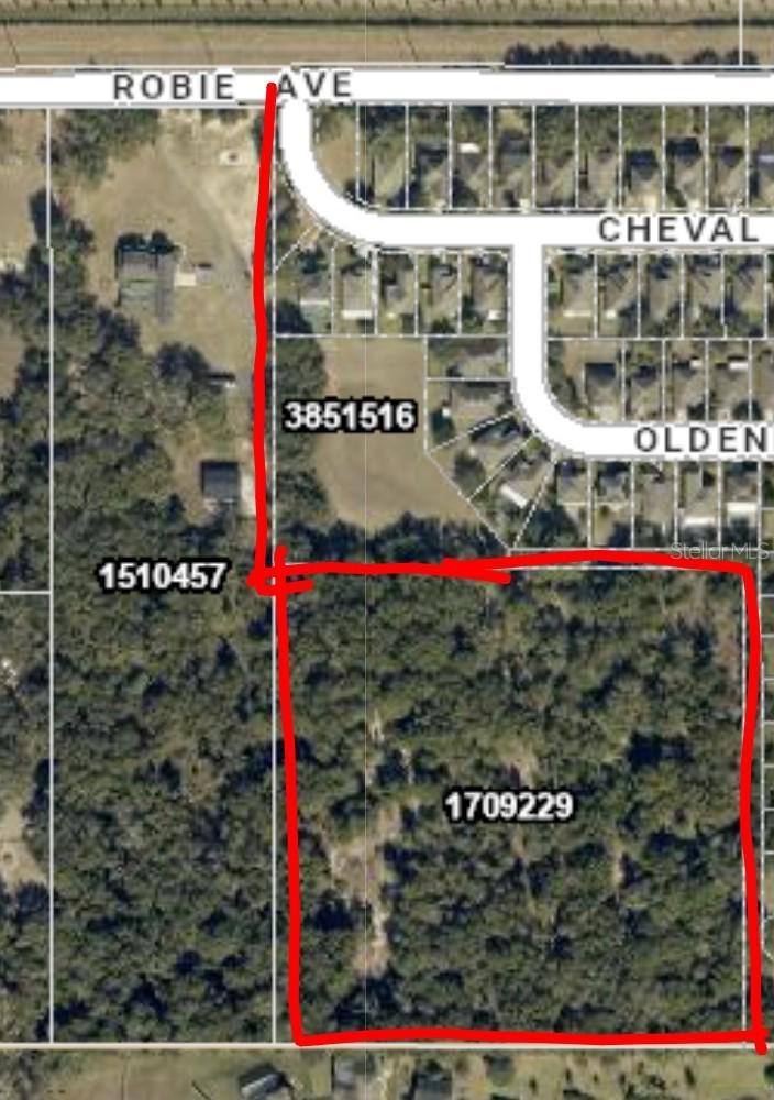 3016 Robie Ave., Mount Dora, FL 32757