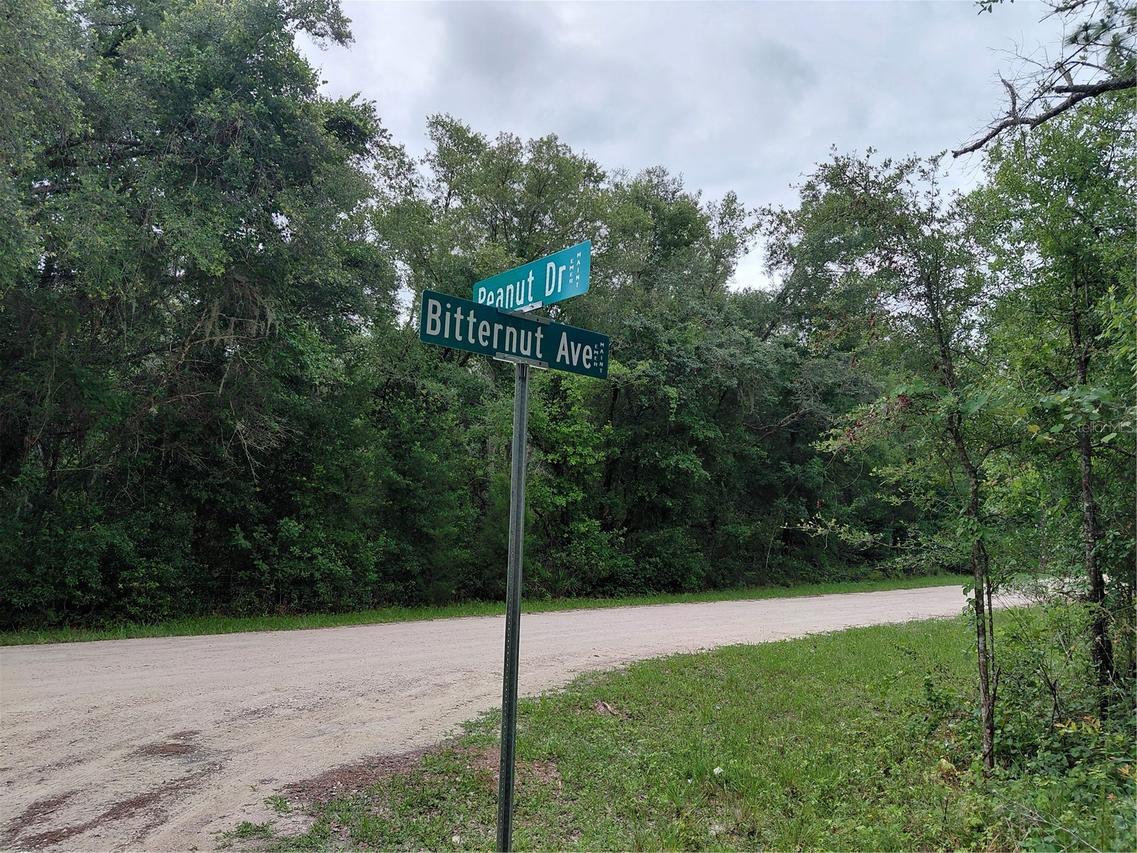 Peanut Dr., Webster, FL 33597