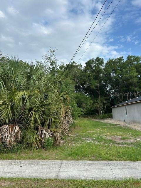 Palmetto St., Eustis, FL 32726