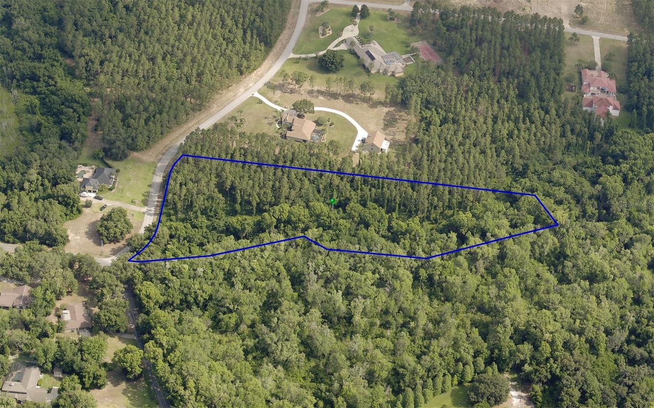 31004 Secretariat Tr., Leesburg, FL 34748