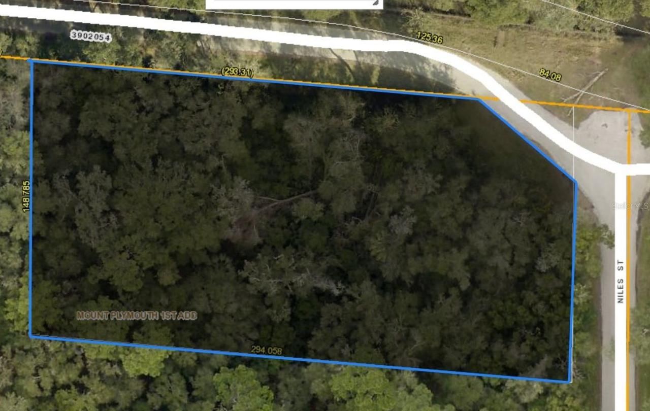 31699 Niles St., Mount Plymouth, FL 32776