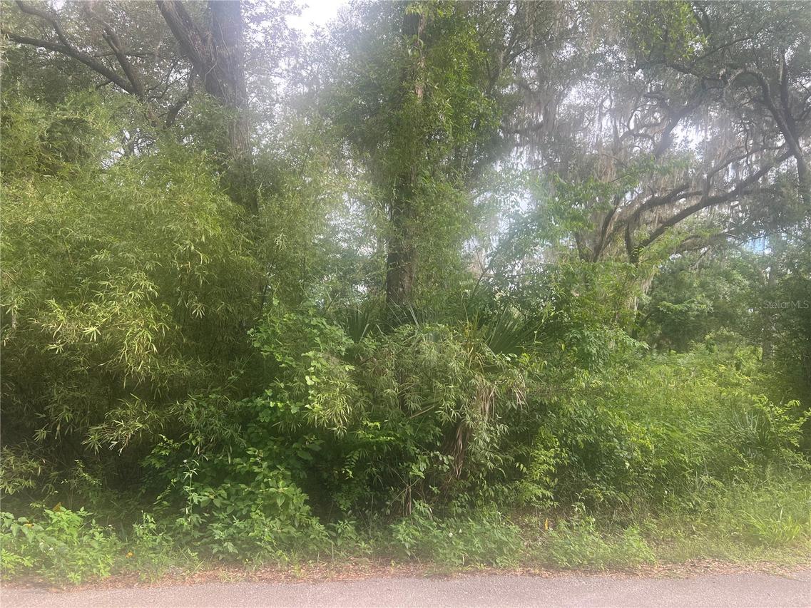 00 NE 32nd St., Silver Springs, FL 34488