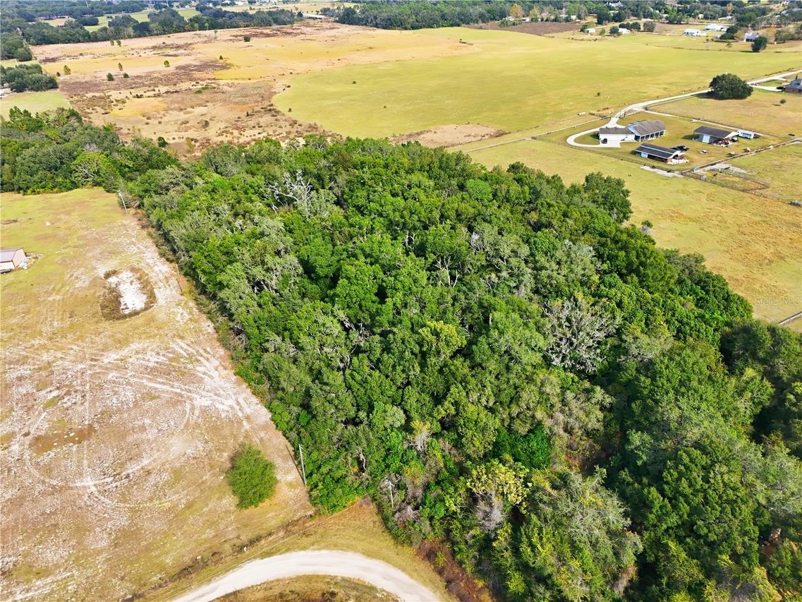 Curle Rd., Eustis, FL 32736