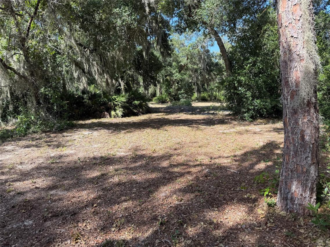 3113 Bright Lake Cir., Groveland, FL 34736