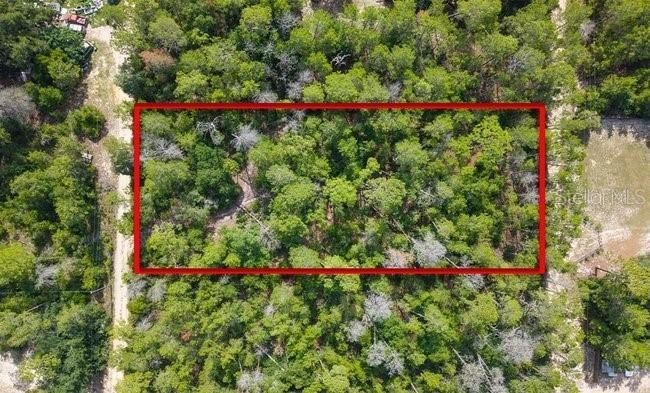 Berry St., Paisley, FL 32767