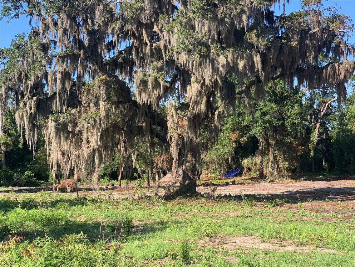 27551 Jackson Ct., Okahumpka, FL 34762