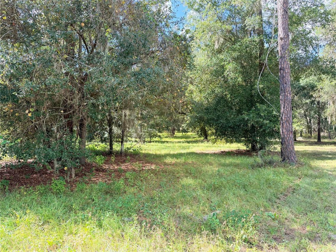 lot 37 Bonsmara Dr., Groveland, FL 34736