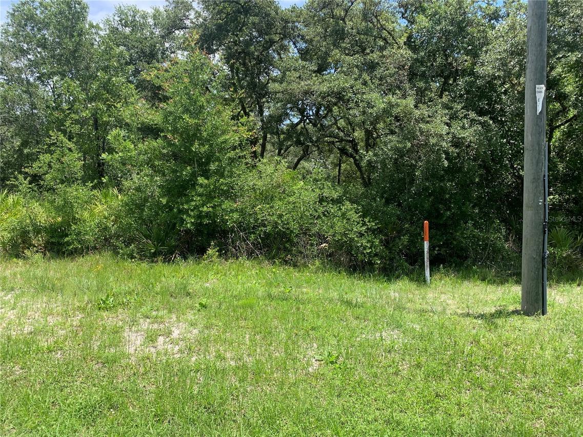 8098 Treiman Blvd., Webster, FL 33597