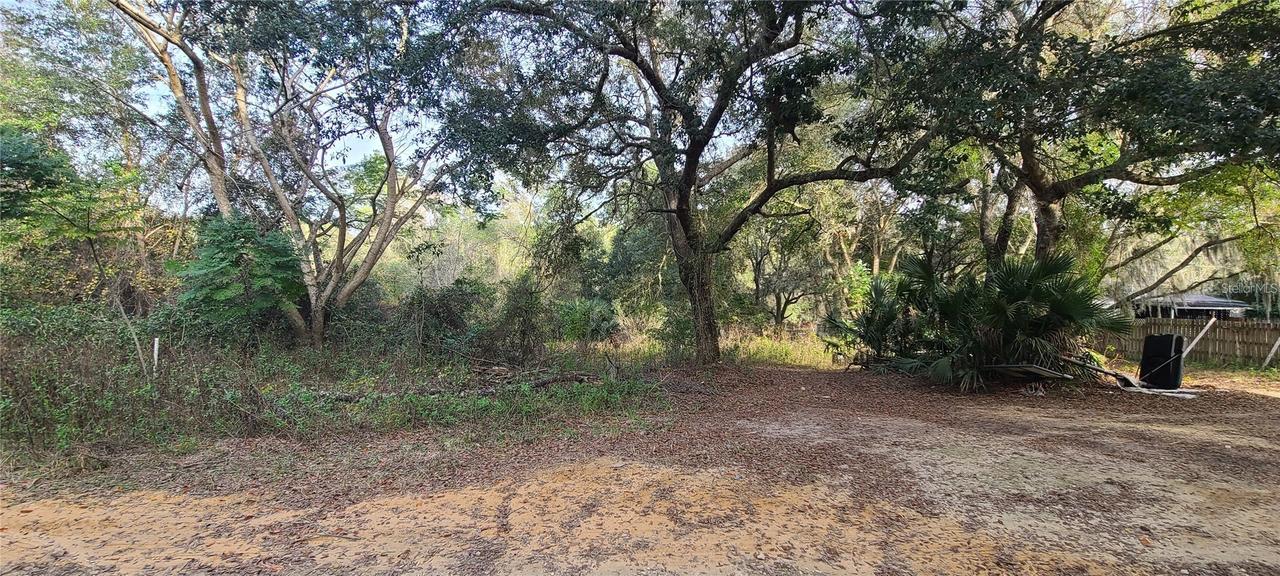 17205 SE 252nd Ave., Umatilla, FL 32784
