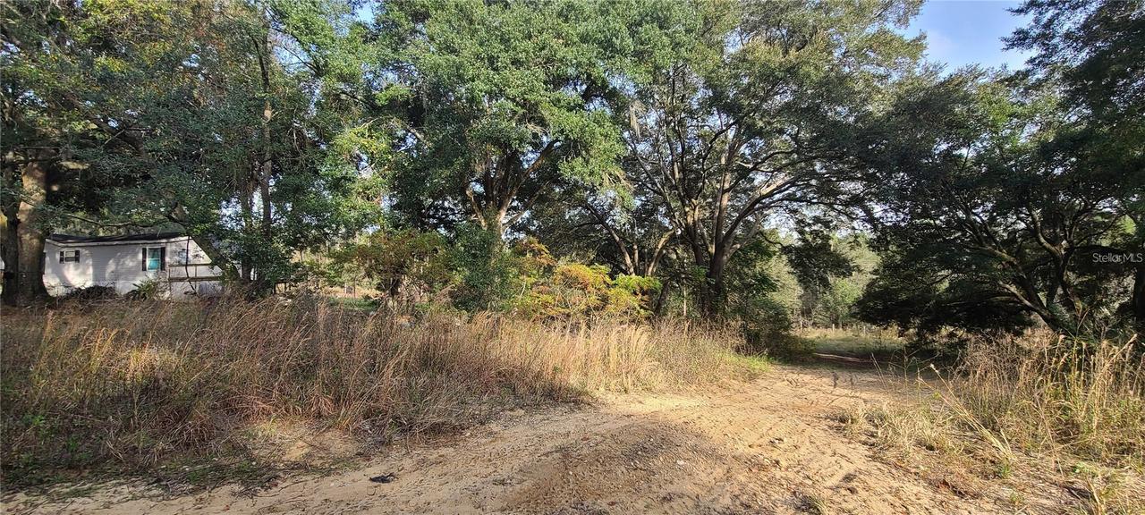 17105 SE 252nd Ave., Umatilla, FL 32784