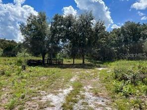 Laurel Oak Ave., Mims, FL 32754