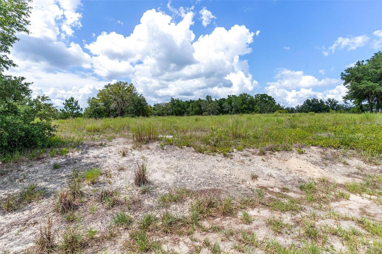 SW Zephyr Hill Ct., Dunnellon, FL 34431