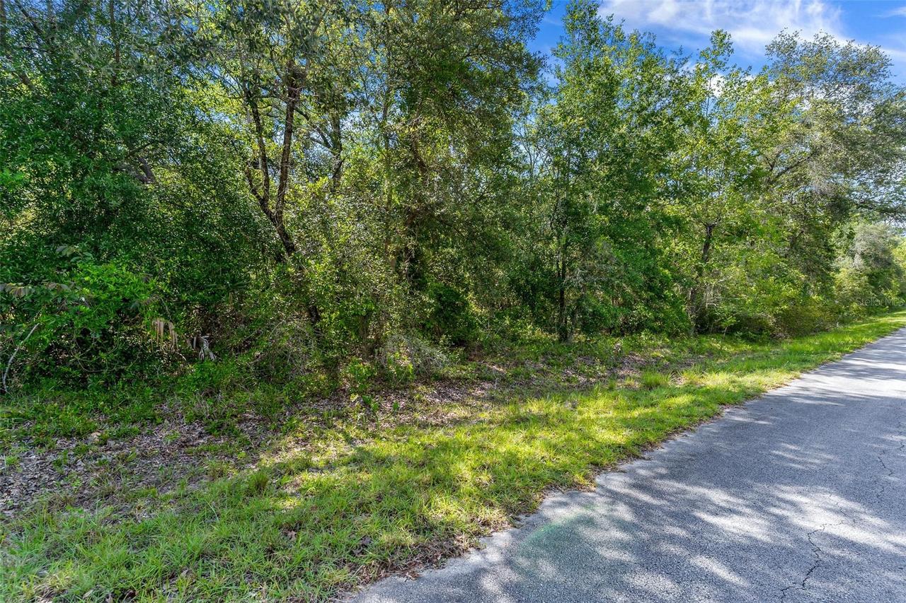 SW Shasta Ct., Dunnellon, FL 34431