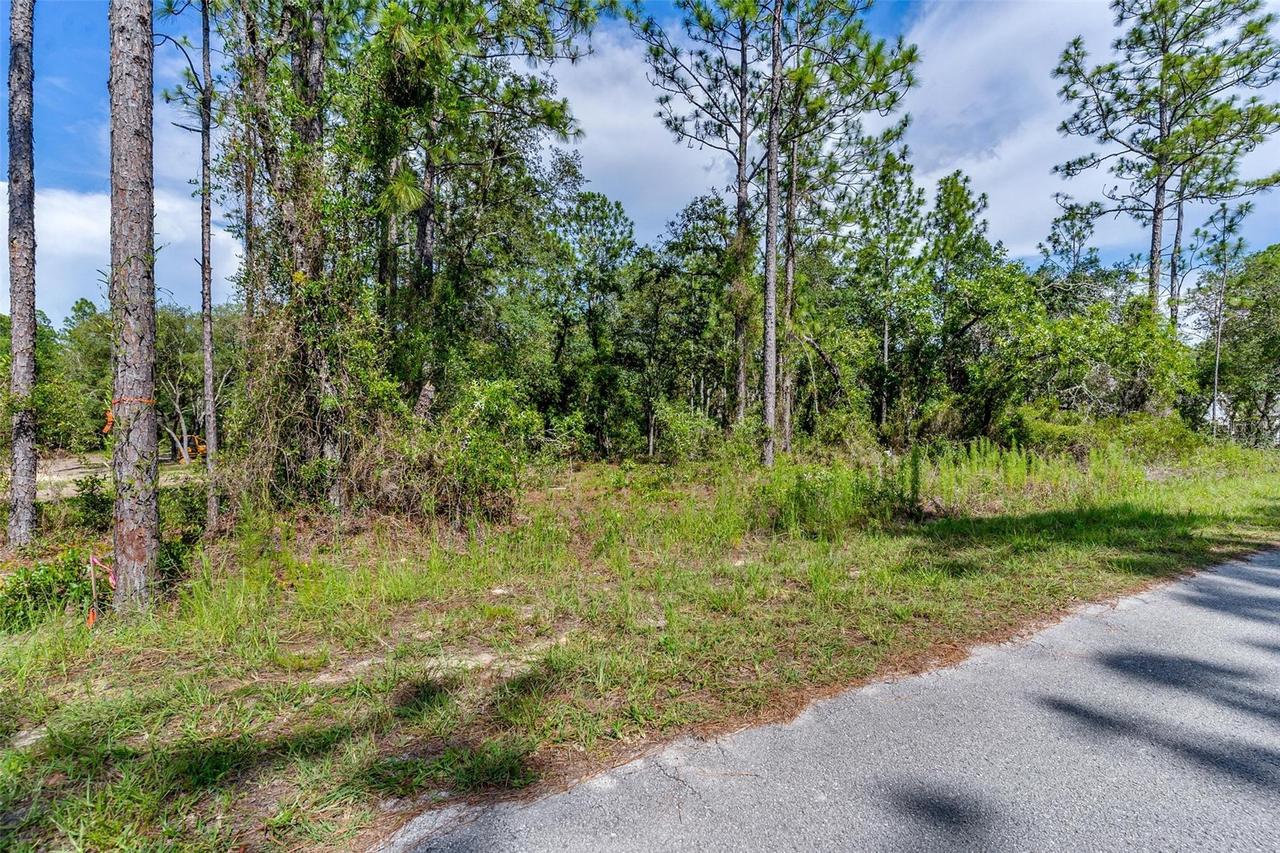SW Viola Ct., Dunnellon, FL 34431