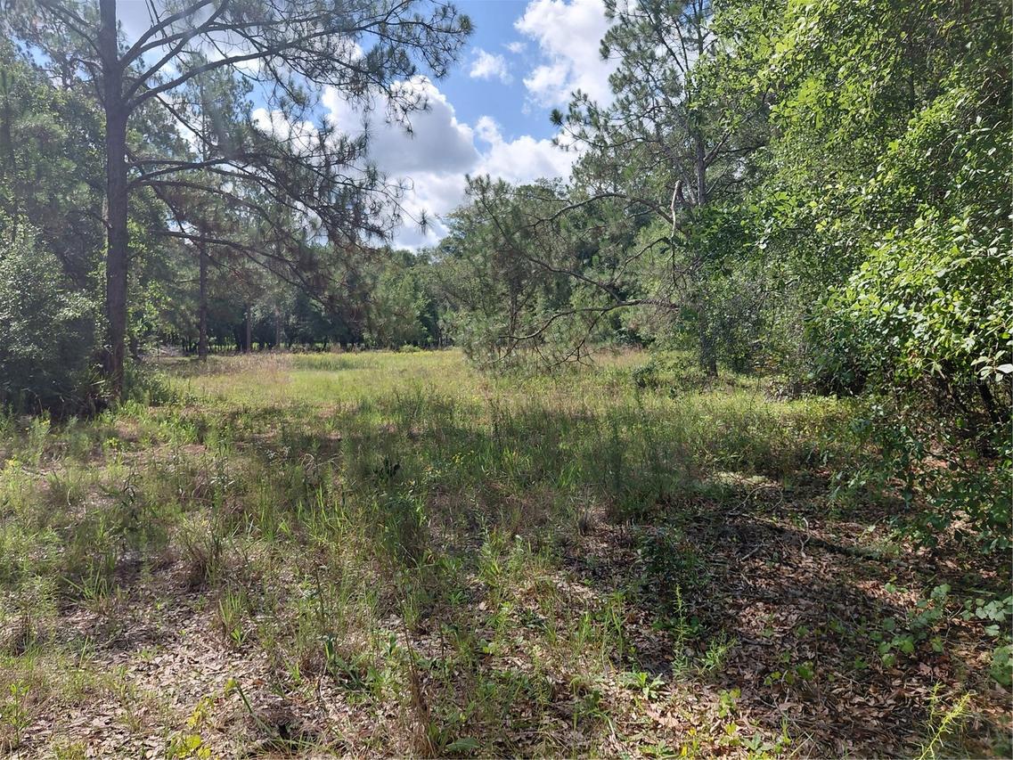 Pinon Dr., Webster, FL 33597