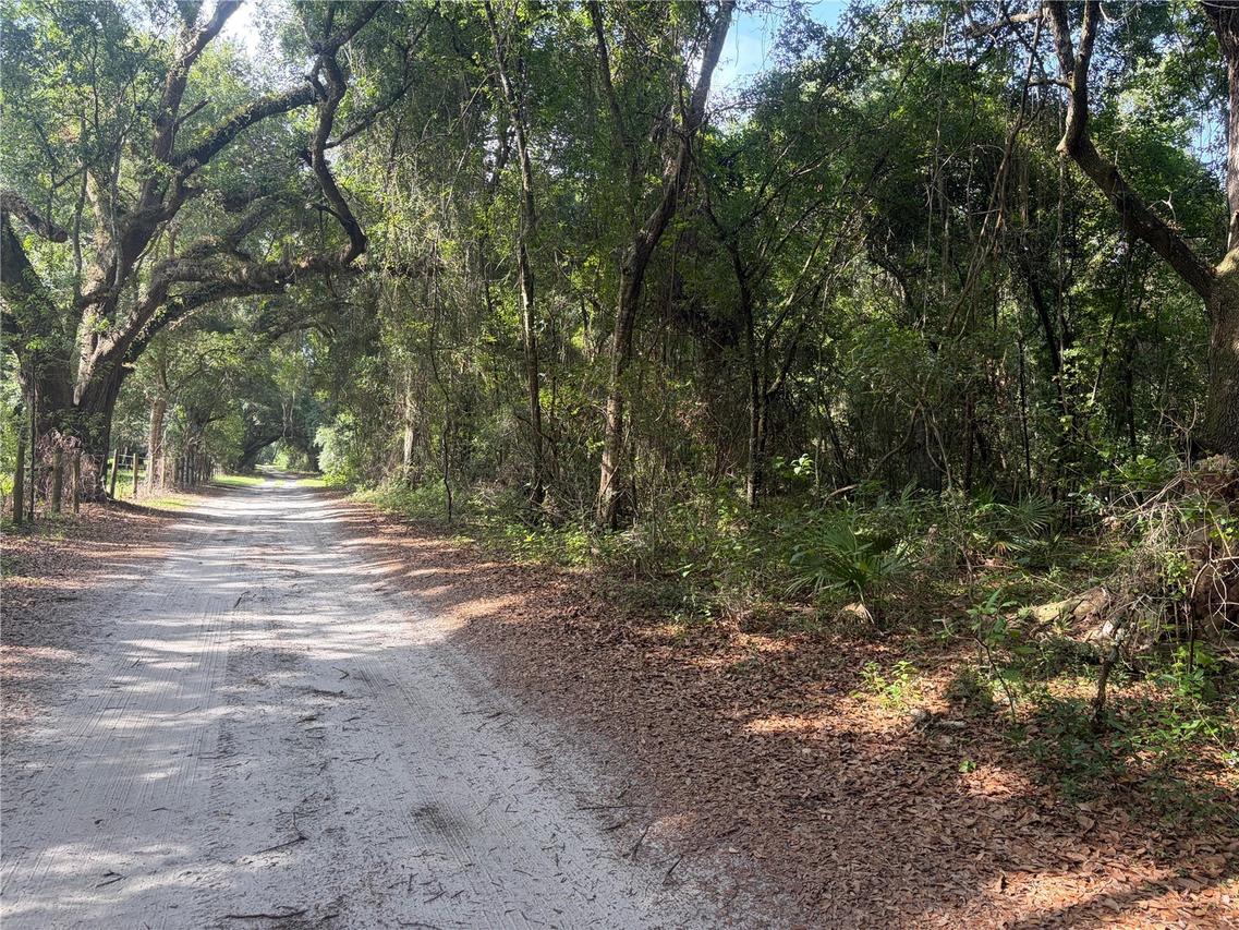 Cr 738, Webster, FL 33597