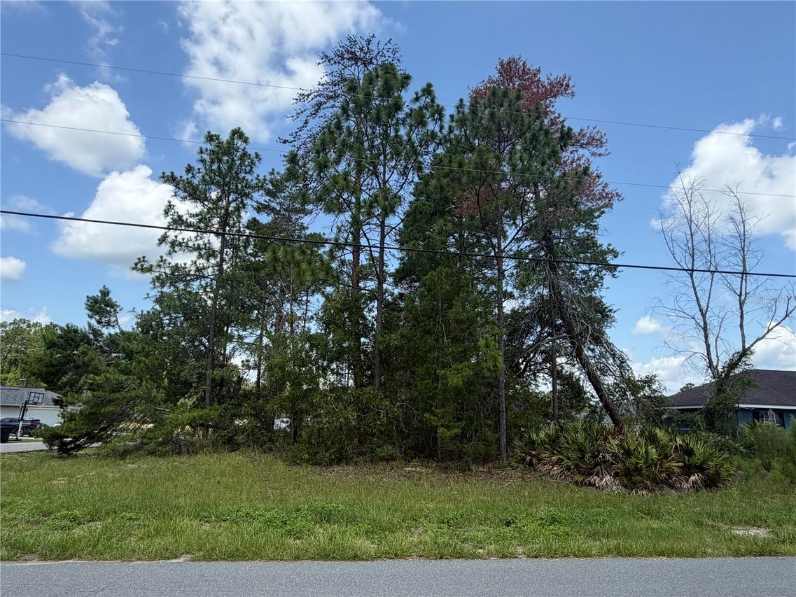 TBD Sw 63rd Ter., Ocala, FL 34473